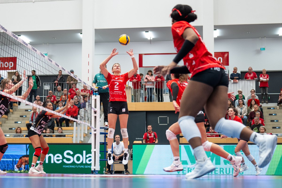 Sparda 2. Liga Pro: Rote Raben: Mit Kampf und Erfahrung zum Erfolg